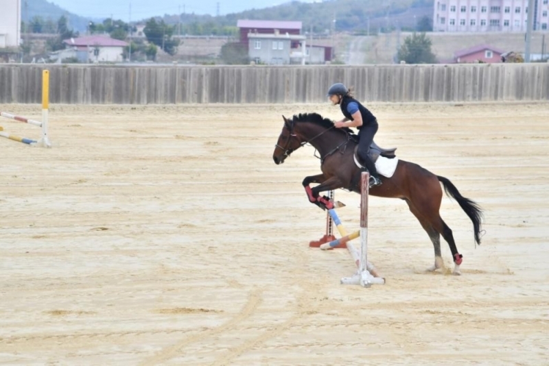 Atlar engelli çocuklara terapi oluyor