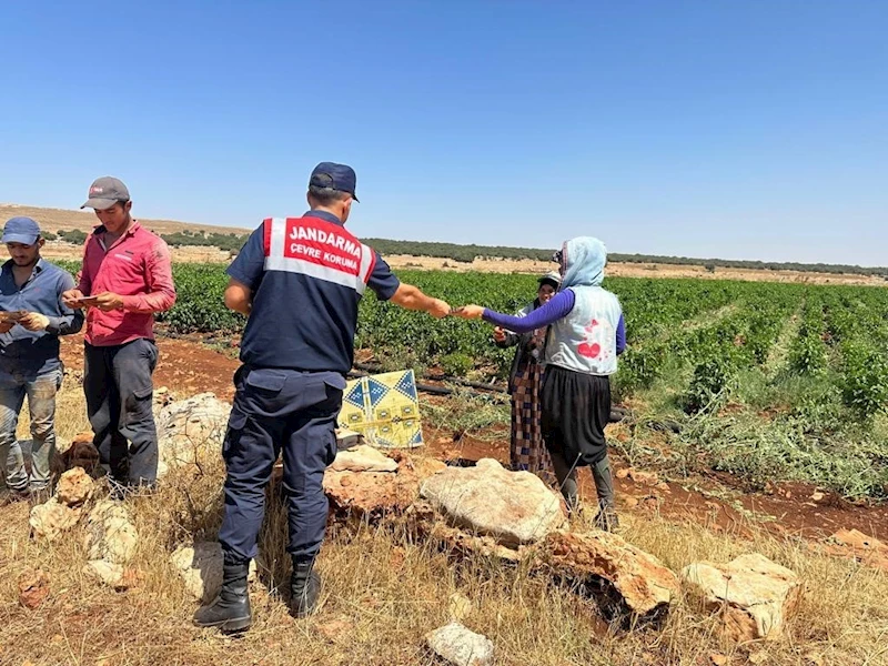 Jandarma, Çiftçileri Anız Yangınına Karşı Broşür İle Uyardı