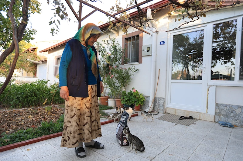 Büyükşehir, Yaşlı Vatandaşın Kedileri İçin 