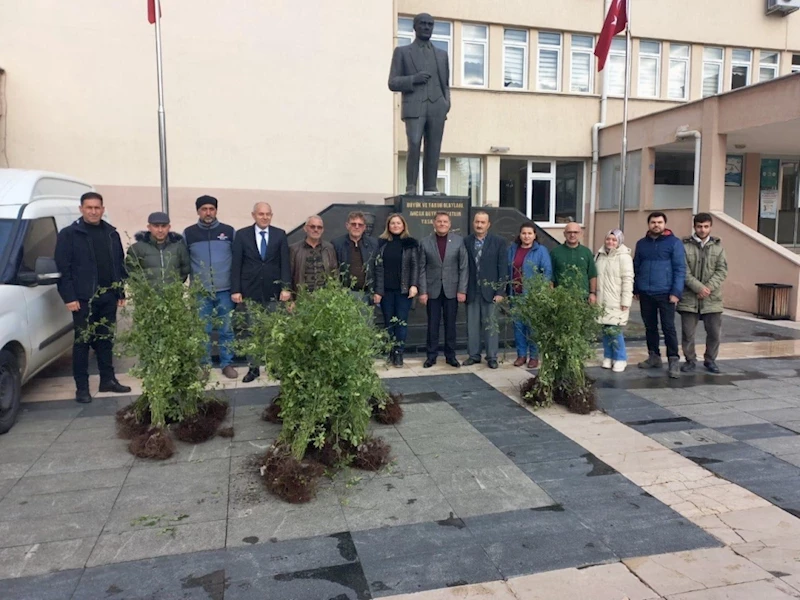 Samsun tarımında “Yeşil yoldan yeşil bahçelere projesi”