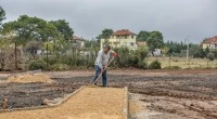 Vatandaş istedi Kocagöz yaptı