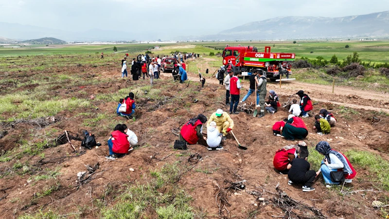 “Büyükşehir’den Engelsiz Orman”
