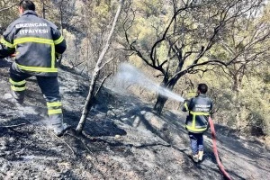 Erzincan İtfaiyesi Hatay’daki Orman Yangınına Müdahale İçin Bölgede